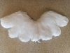 White Pegasus Flügel